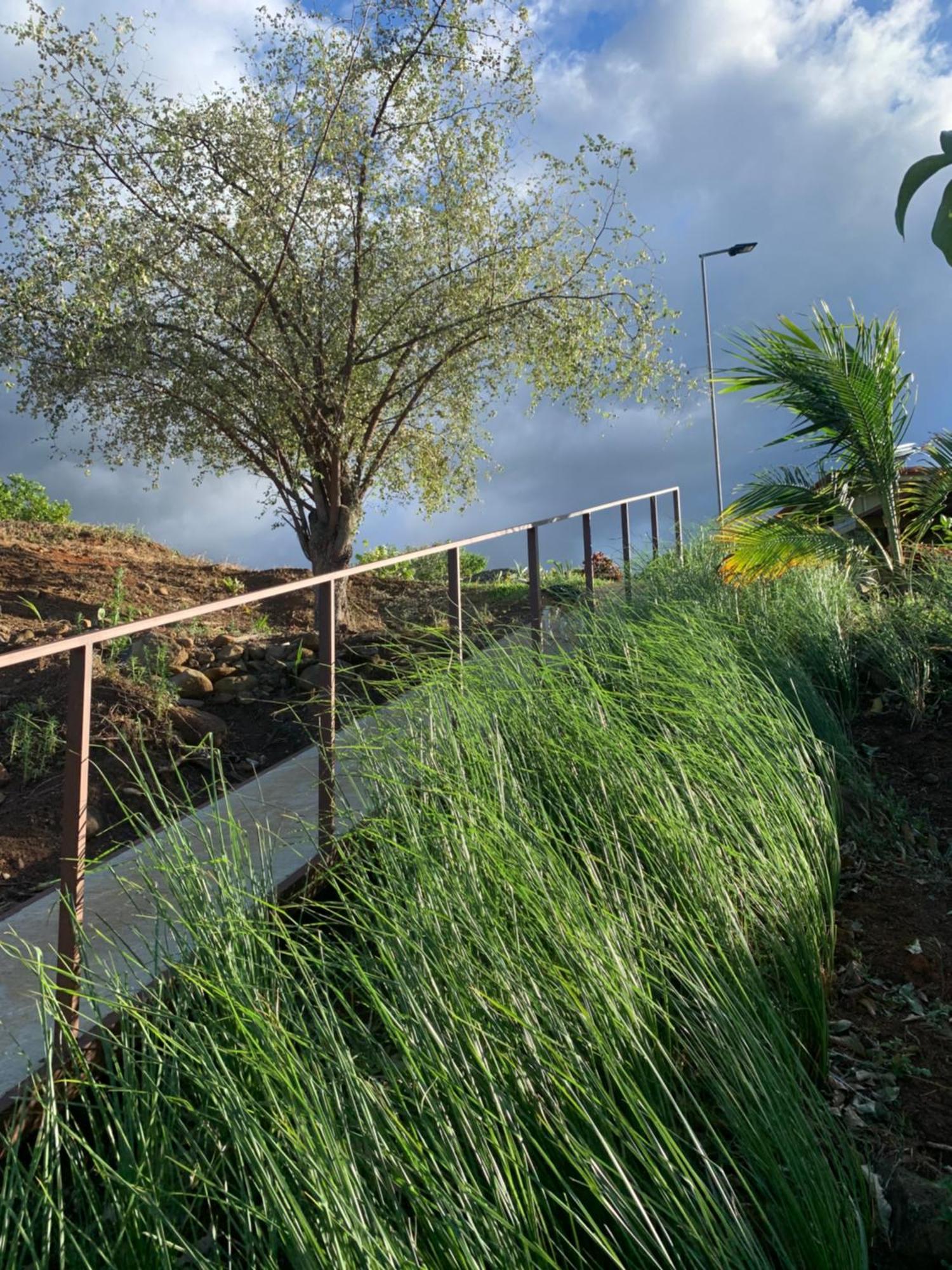 Conectar Con La Naturaleza Esparza Exteriör bild